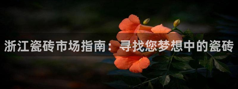 杏鑫平台登陆