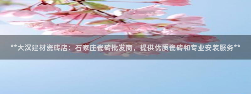 杏鑫招商总代