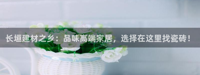 杏鑫平台代理注册多少钱