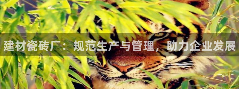 杏鑫平台念7O777