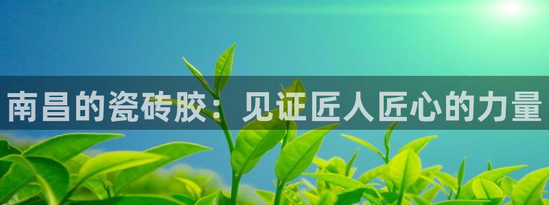 杏鑫平台是黑平台吗