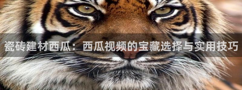 杏鑫娱乐靠谱吗