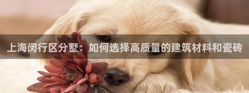 杏鑫平台平台娱乐怎么样