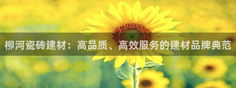 杏鑫平台平台娱乐