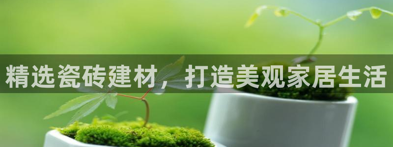 杏鑫平台怎么样知乎
