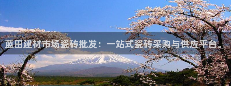 杏鑫平台代理怎么样啊