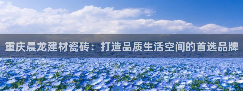 杏鑫官方平台怎么样啊可靠吗