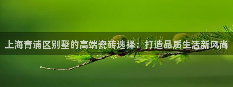 杏鑫平台代理怎么样啊