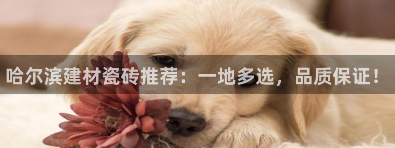 杏鑫娱乐是合法的吗是真的吗