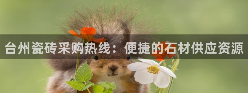 杏鑫娱乐平台登录