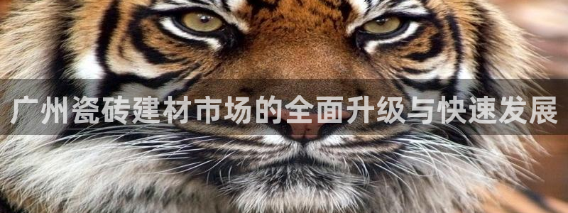 杏鑫娱乐平台