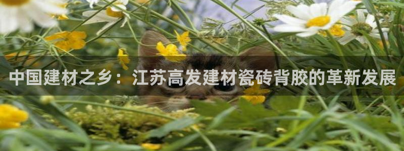 杏鑫平台代理