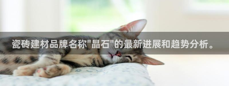 杏鑫平台代理怎么样可靠吗
