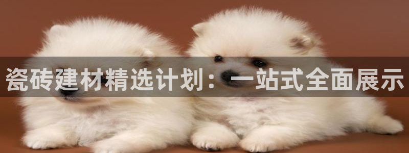 杏鑫官网注册账号