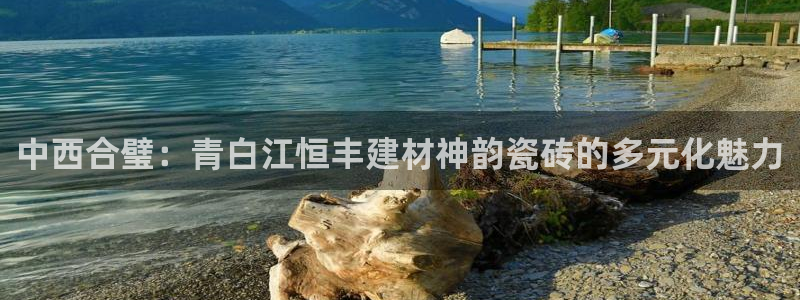 杏鑫平台注册地址