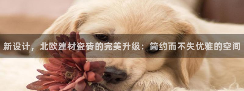 杏鑫平台广7O777