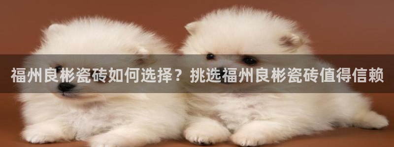 杏鑫平台是黑平台吗