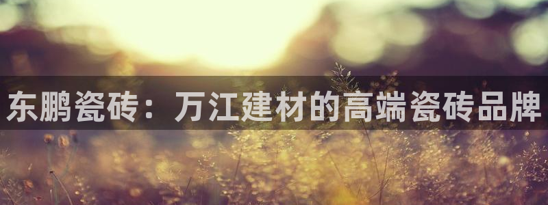 杏鑫登录注册测速