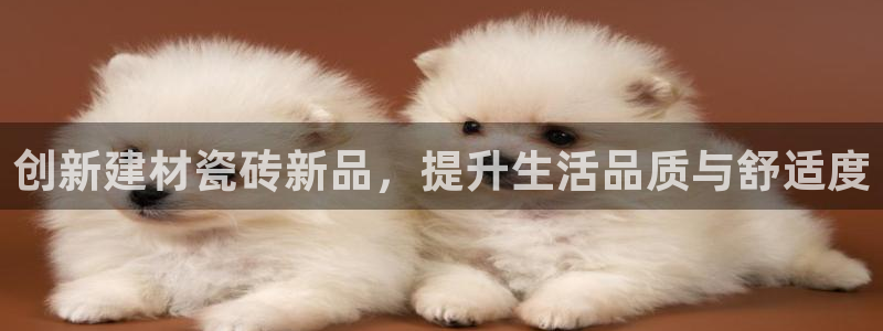 杏鑫平台注册地址在哪里