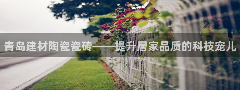 杏鑫官方平台怎么样啊知乎