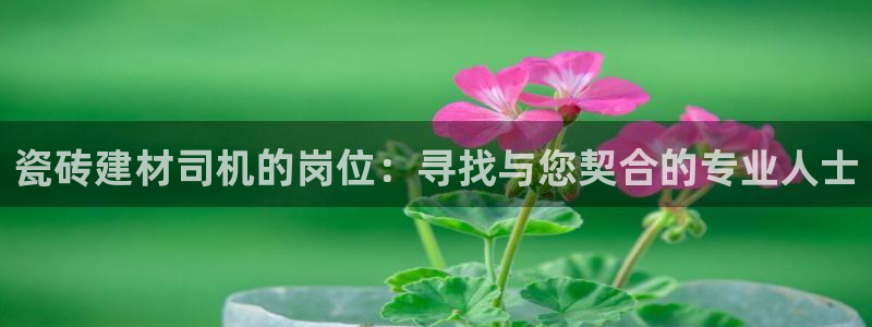 杏鑫官网注册账号是什么样的