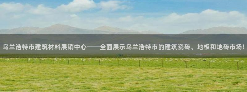 杏鑫平台代理怎么样啊