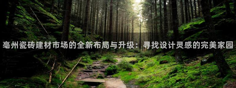 杏鑫平台待遇