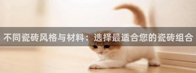 杏鑫平台代理注册流程及费用