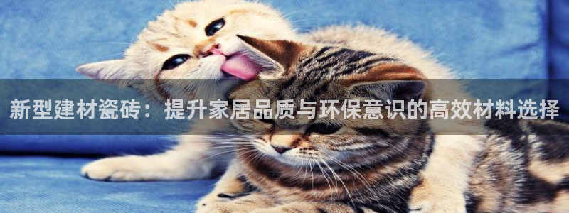 杏鑫娱乐官网下载