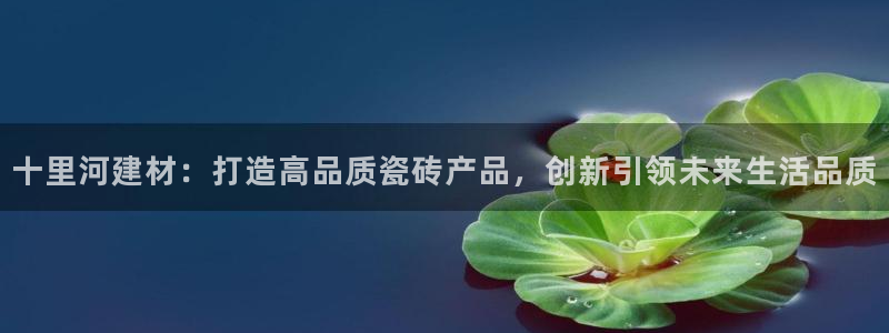 杏鑫注册登录网