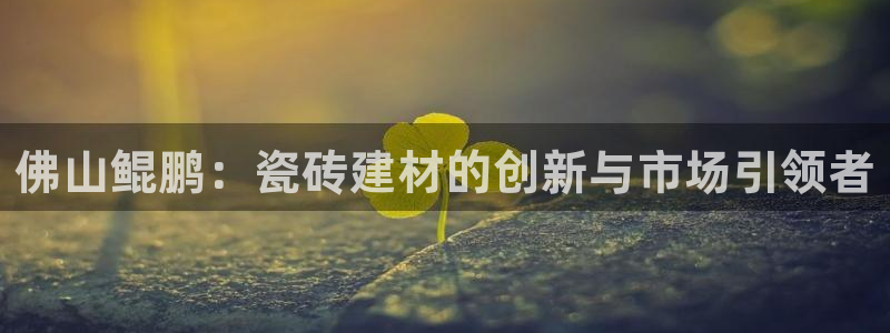 杏鑫官网注册账号怎么注册