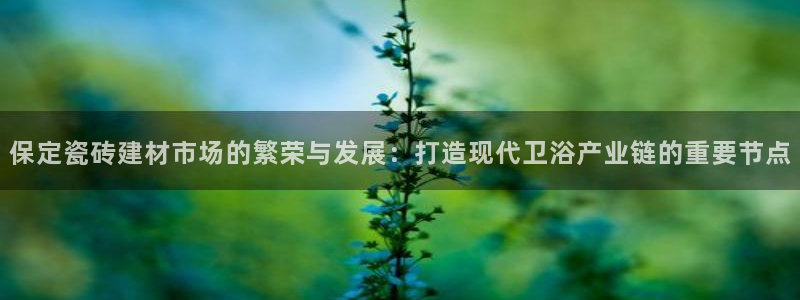 杏鑫平台代理注册流程