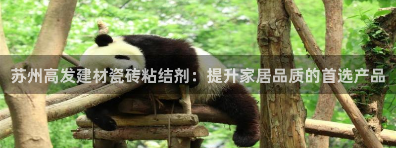 杏鑫平台注册入口