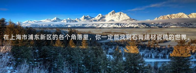 杏鑫官网注册账号密码是什么