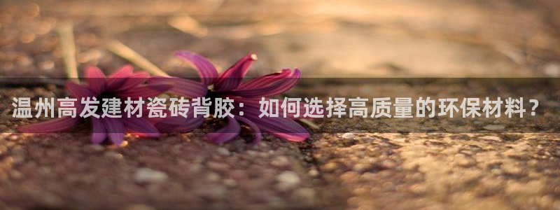 杏鑫注册登录代理公司