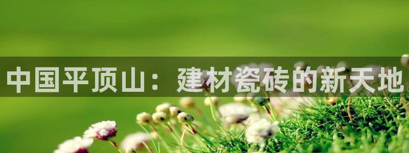 杏鑫平台代理注册登录不了怎么办呀