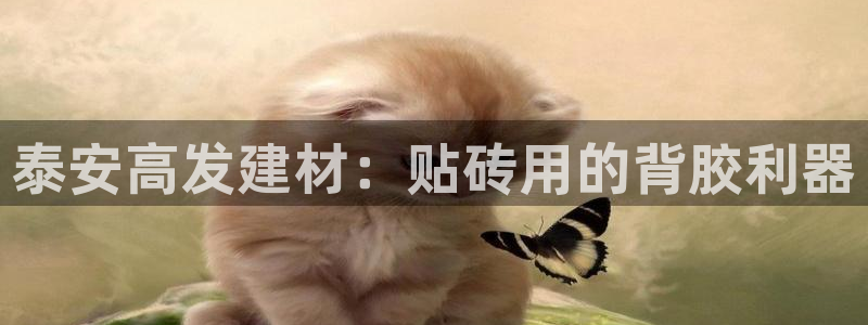 杏鑫娱乐是真的吗知乎