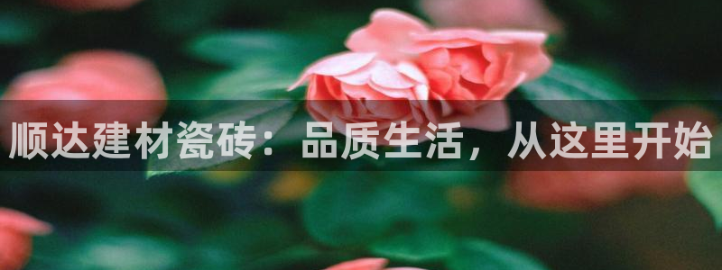 杏鑫平台登录地址在哪