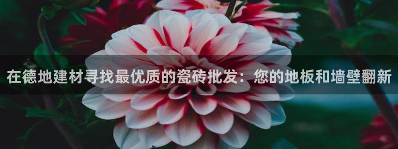 杏鑫娱乐平台测速怎么样