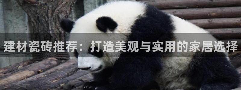 杏鑫平台在线注册怎么注册