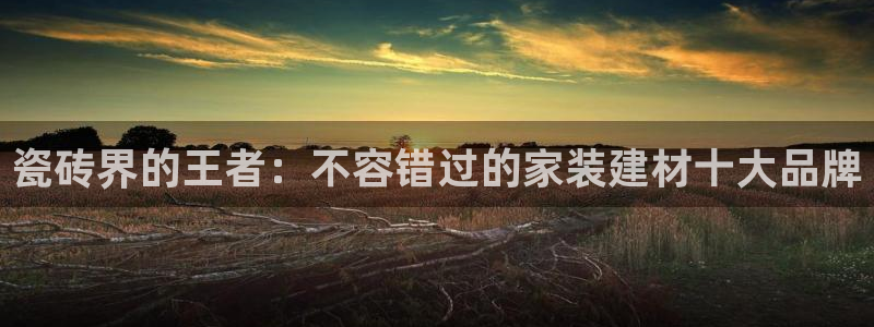 杏鑫注册登录代理