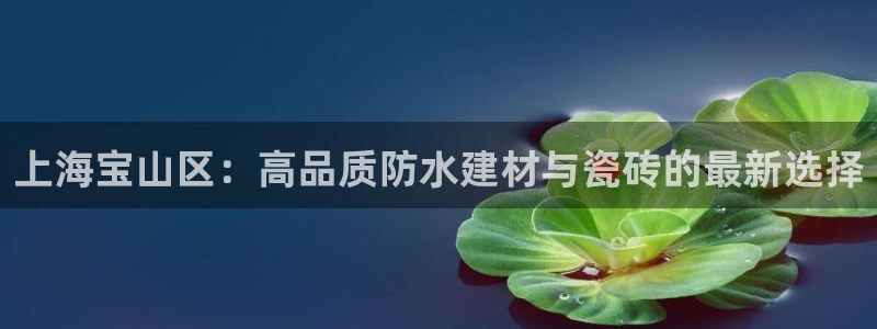 杏鑫注册登录代理