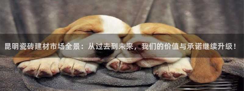 杏鑫平台注册入口在哪里找