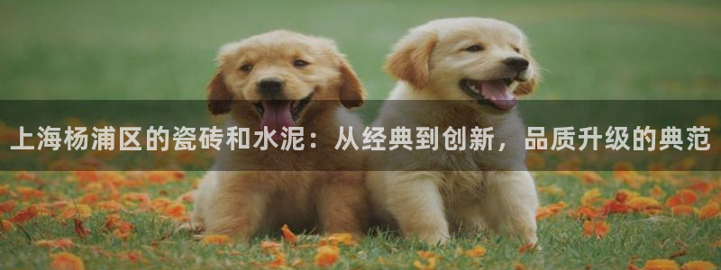 杏鑫娱乐平台登录注册网站