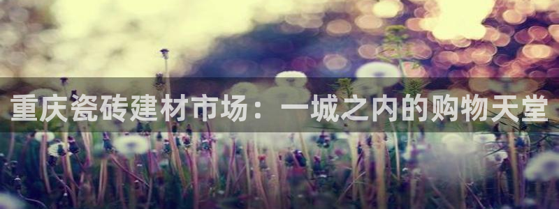 杏鑫平台代理注册多少钱