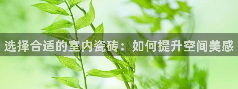 杏鑫手机客户端怎么下载
