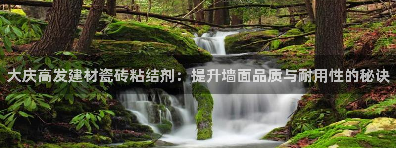 杏鑫平台代理怎么样啊