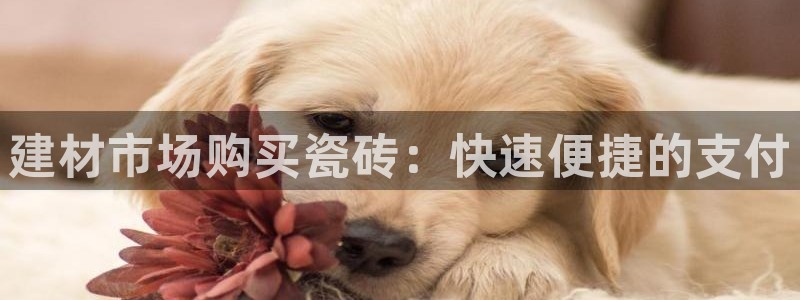 杏鑫娱乐负责人