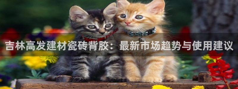 杏鑫娱乐官网下载