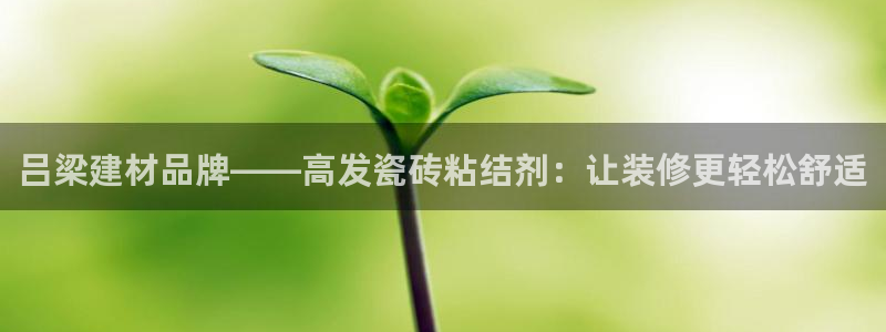 杏鑫官网最新信息